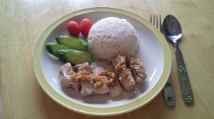 O氏作カオマンガイ